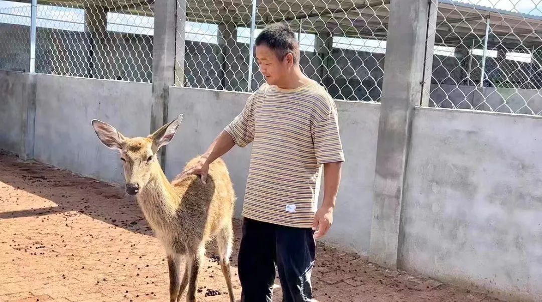 beamng手机版下载